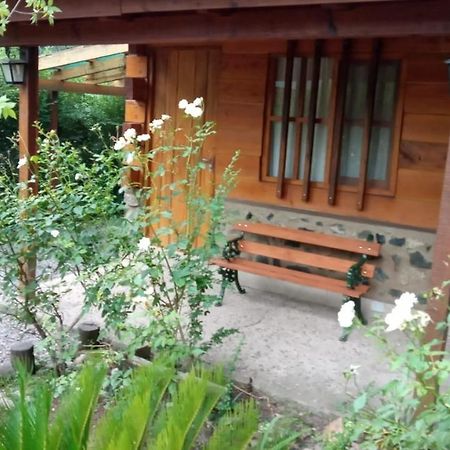 Cabanas Brisas Del Bosque Hotell Villa Ciudad Parque Exteriör bild