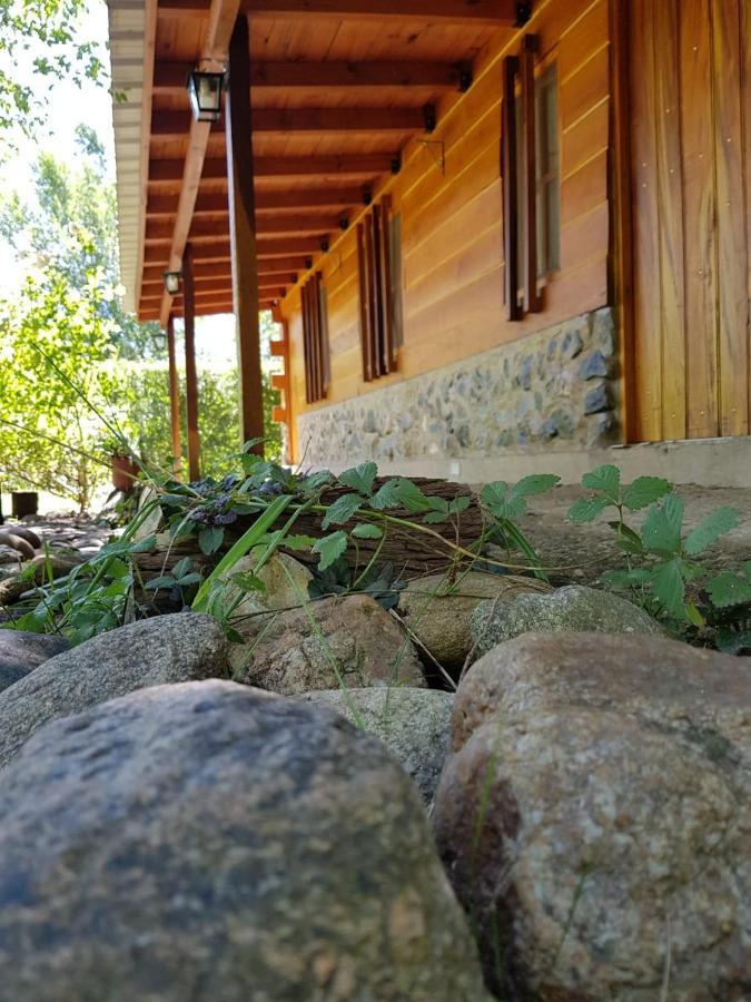 Cabanas Brisas Del Bosque Hotell Villa Ciudad Parque Exteriör bild