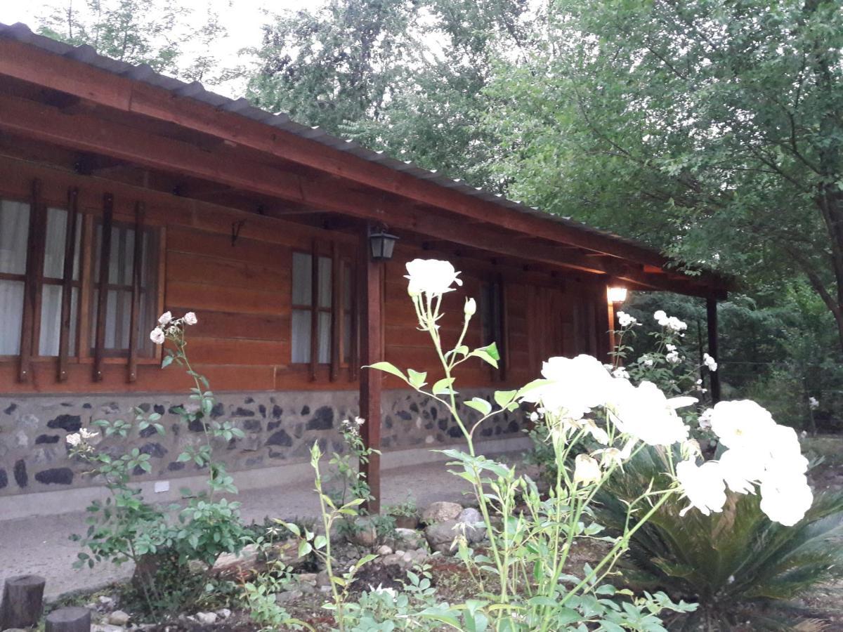 Cabanas Brisas Del Bosque Hotell Villa Ciudad Parque Exteriör bild